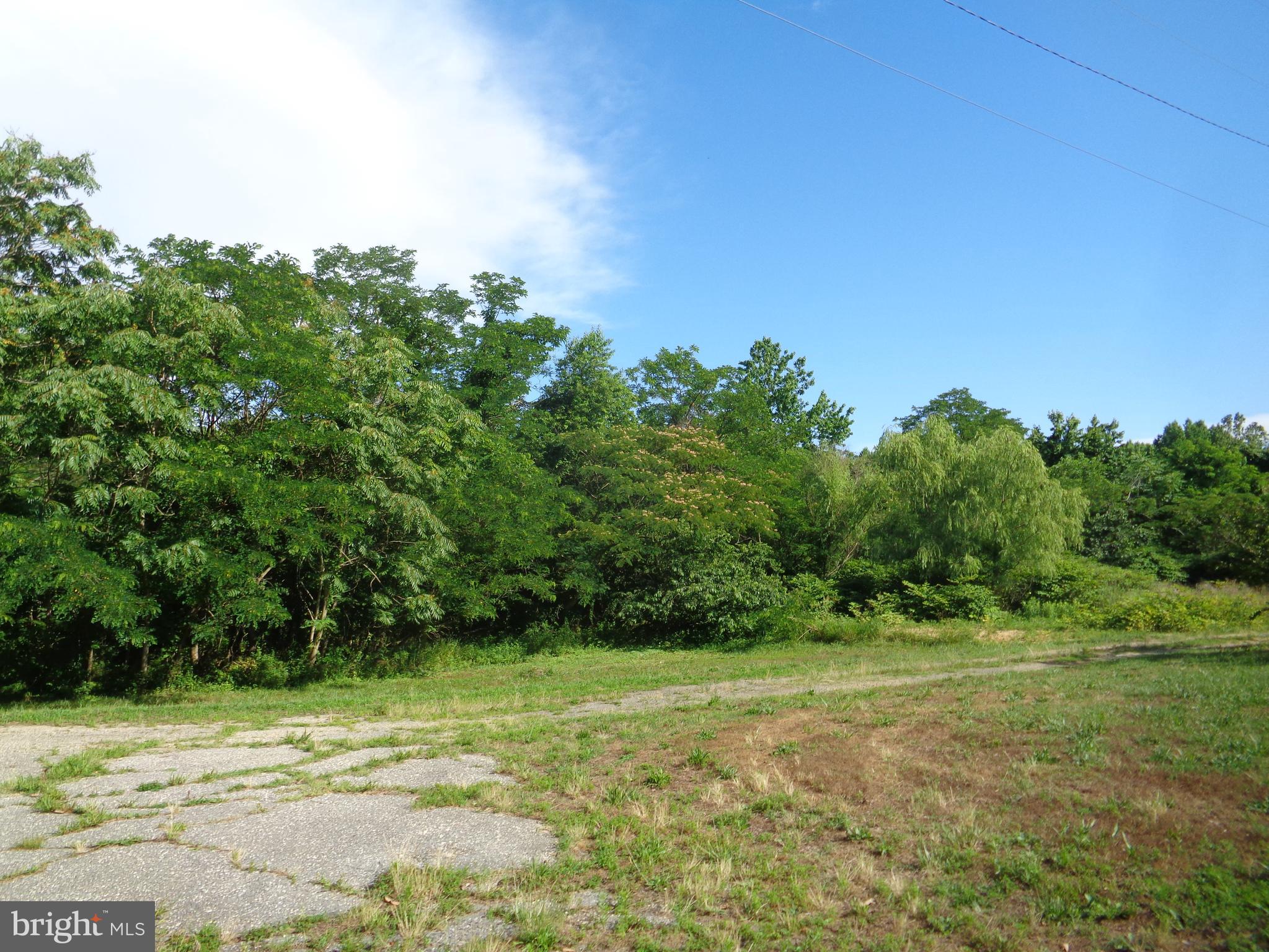 9145 Mackall Road St. Leonard, MD 20685 - Photo 42 of 48 Back land