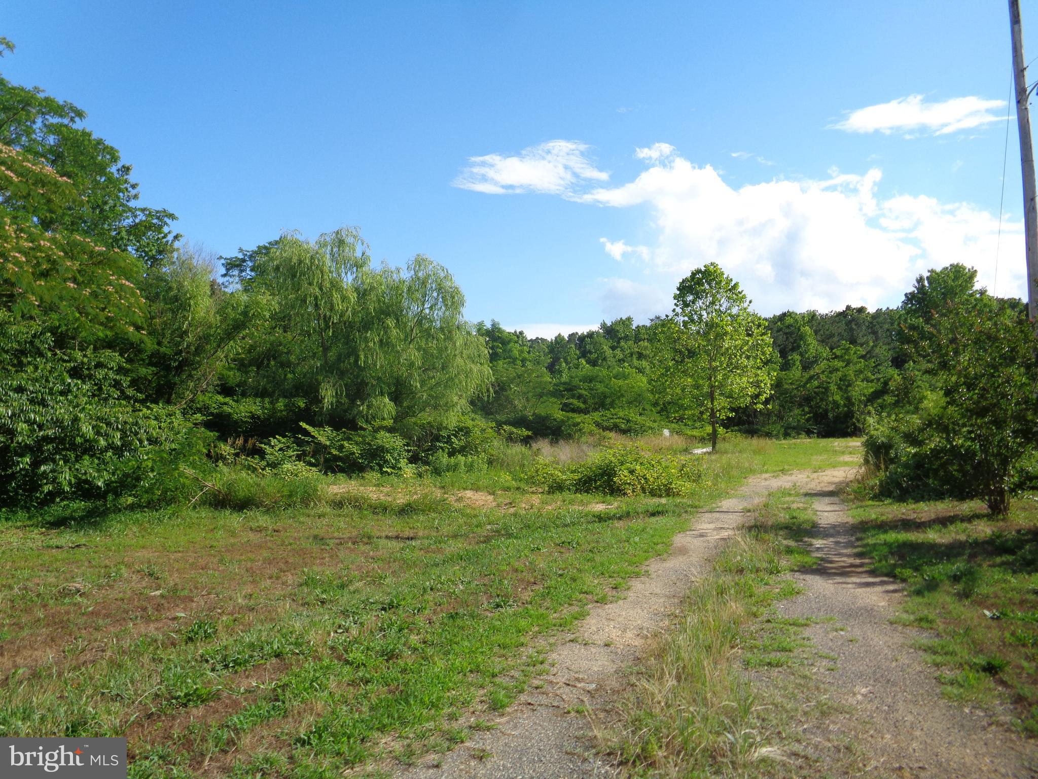 9145 Mackall Road St. Leonard, MD 20685 - Photo 45 of 48 Back acreage access