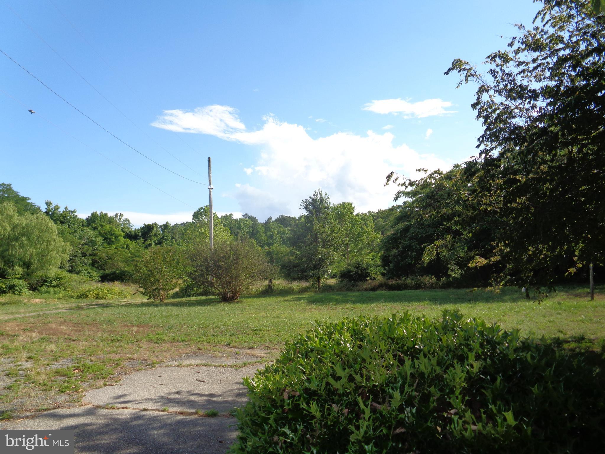 9145 Mackall Road St. Leonard, MD 20685 - Photo 46 of 48 Part of the back acreage
