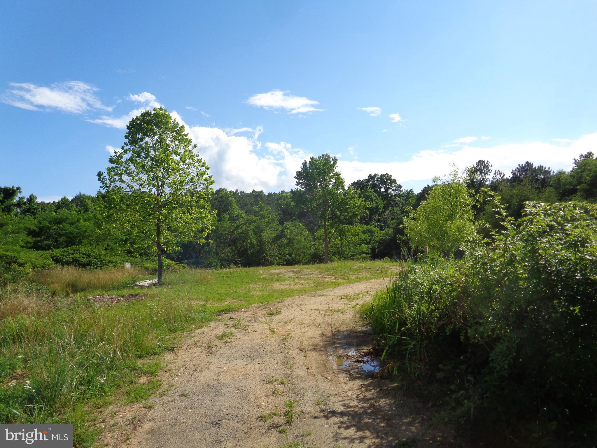 9145 Mackall Road St. Leonard, MD 20685 - Photo 47 of 48 Road back to the wooded acreage
