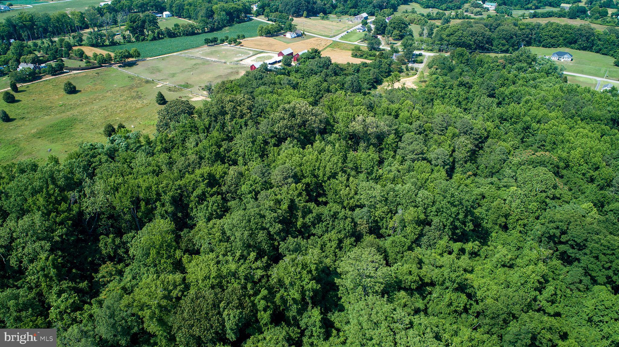 9145 Mackall Road St. Leonard, MD 20685 - Photo 48 of 48 Wooded acreage at the back