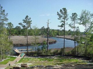 258 White Oak Bluff Road Stella, NC 28582 - Photo 1 of 15 Listing Photo
