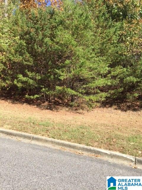 7340 Kings Mountain Road, Unit 115 Birmingham, AL 35242 - Photo 2 of 22