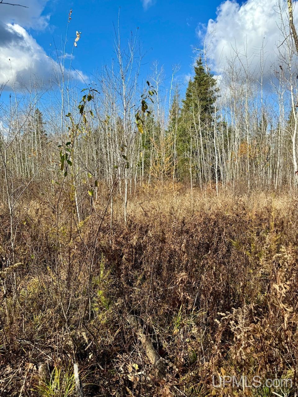 27.5 Rd 52 Ac Trail Gladstone, MI 49837 - Photo 19 of 20