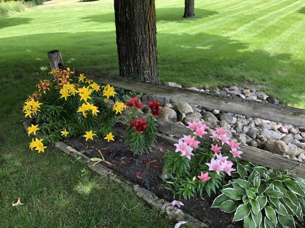 719 Poquette Road Gaylord, MI 49735 - Photo 45 of 50 Gallery Image 45