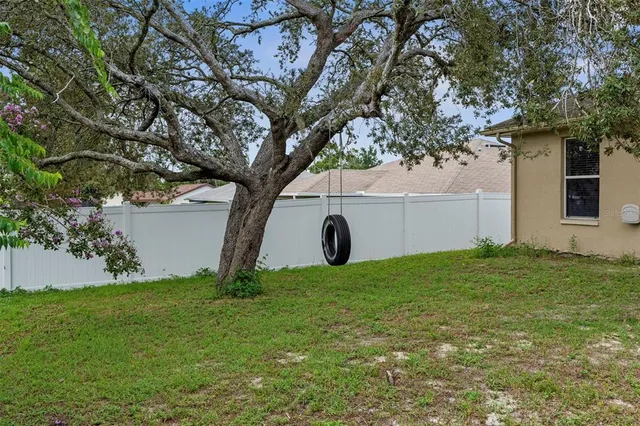a view of a backyard with a tree