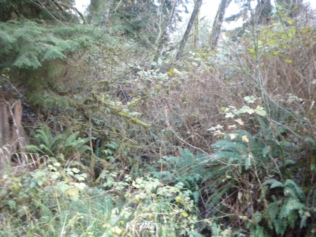 23125 Wallitner Road Arlington, WA 98223 - Photo 3 of 6 Gallery Image 3