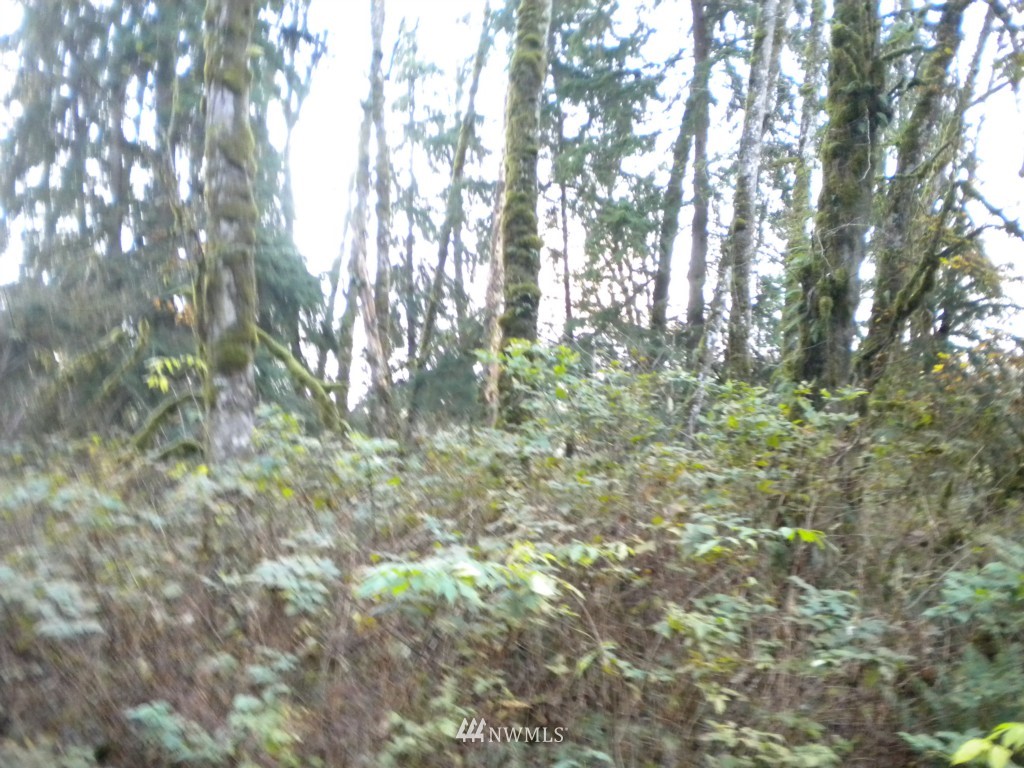 23125 Wallitner Road Arlington, WA 98223 - Photo 4 of 6 Gallery Image 4