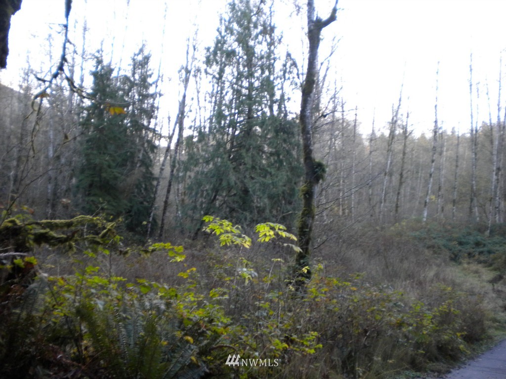 23125 Wallitner Road Arlington, WA 98223 - Photo 5 of 6 Gallery Image 5