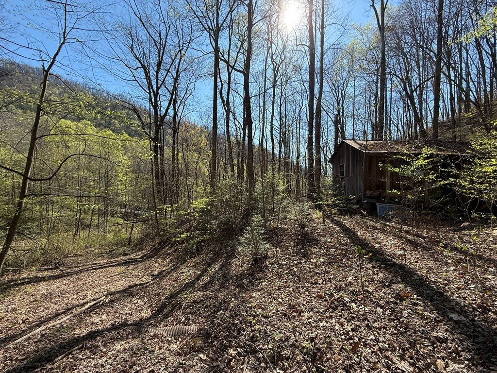 Tbd Clearview Lane Murphy, NC 28906 - Photo 21 of 29 Structure