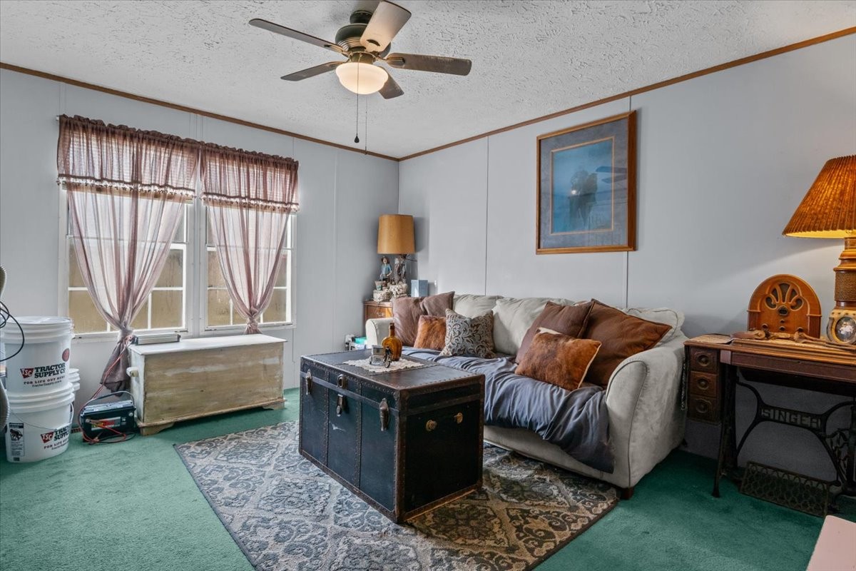 25 Cardinal Road Linden, TN 37096 - Photo 24 of 84 a living room with furniture and a window