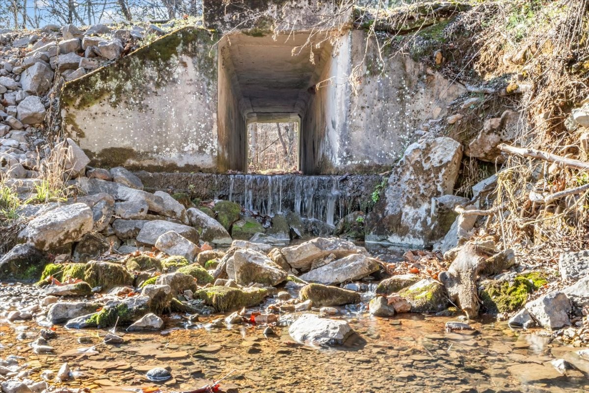 25 Cardinal Road Linden, TN 37096 - Photo 30 of 92