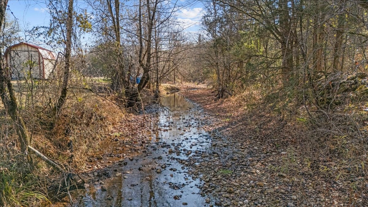 25 Cardinal Road Linden, TN 37096 - Photo 31 of 84