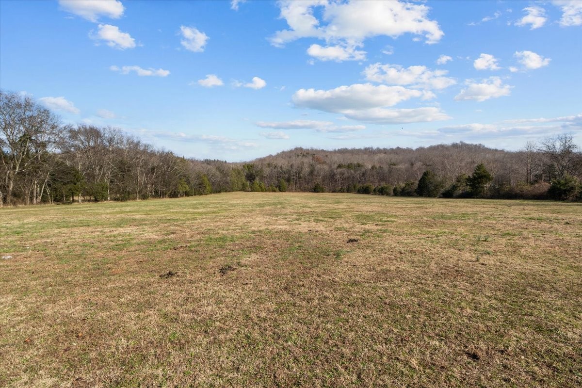 25 Cardinal Road Linden, TN 37096 - Photo 42 of 92