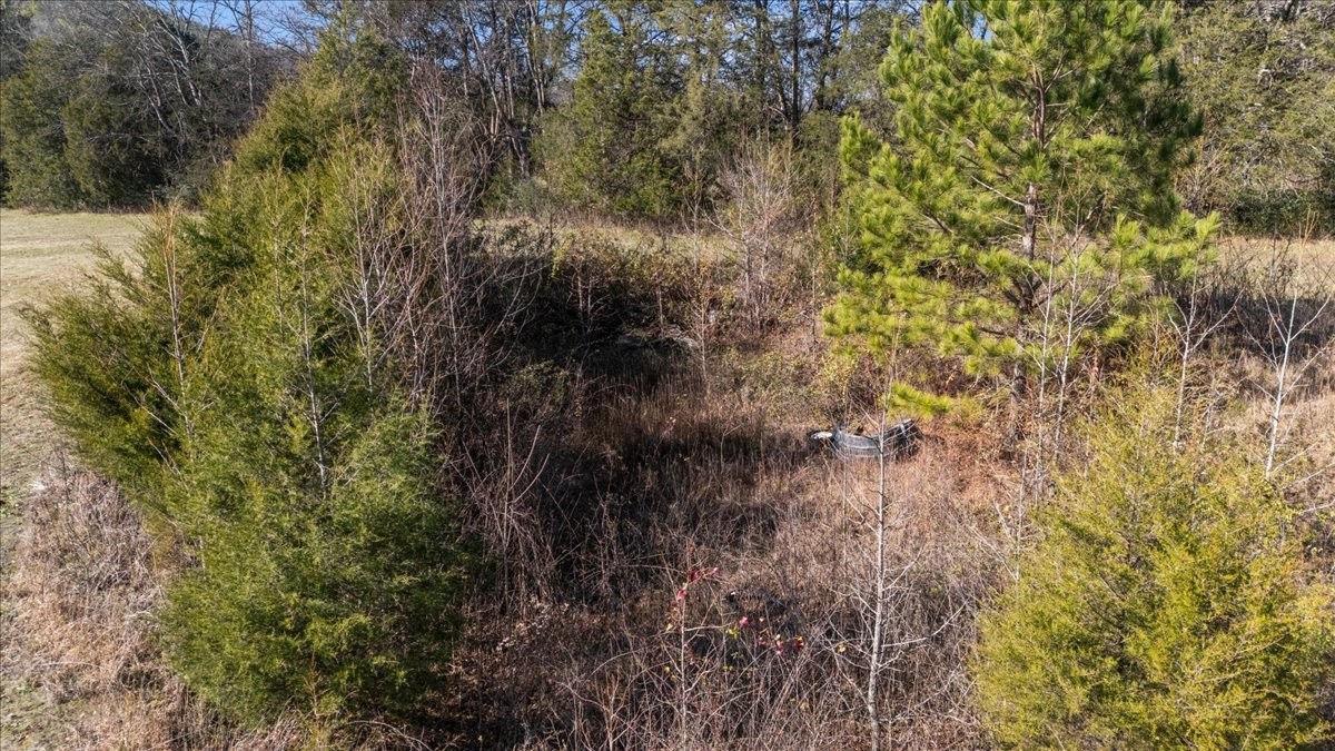 25 Cardinal Road Linden, TN 37096 - Photo 43 of 84