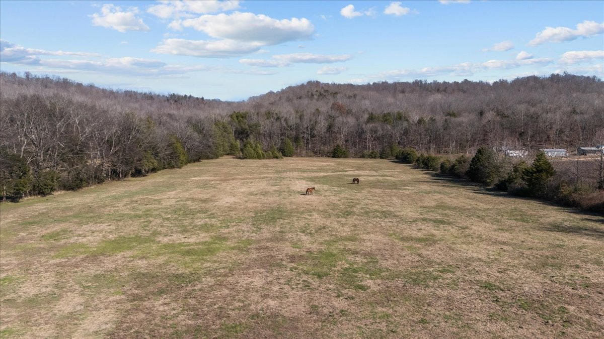 25 Cardinal Road Linden, TN 37096 - Photo 43 of 92