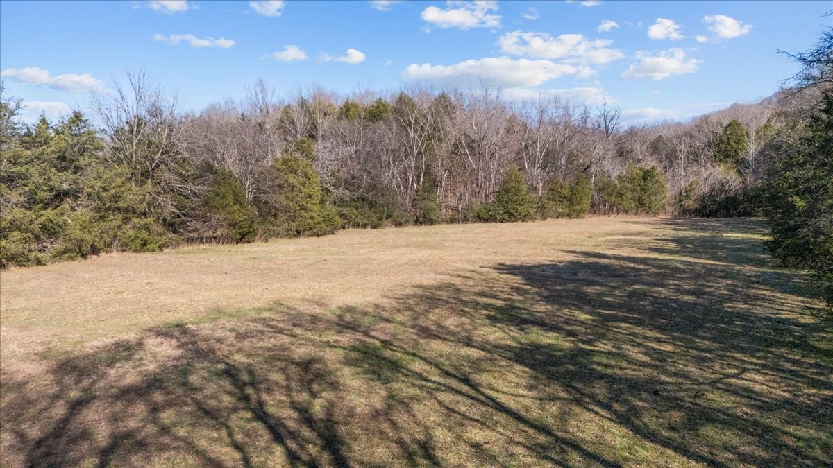 25 Cardinal Road Linden, TN 37096 - Photo 46 of 92