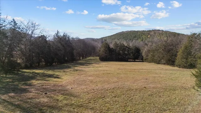a view of a field with trees in the background