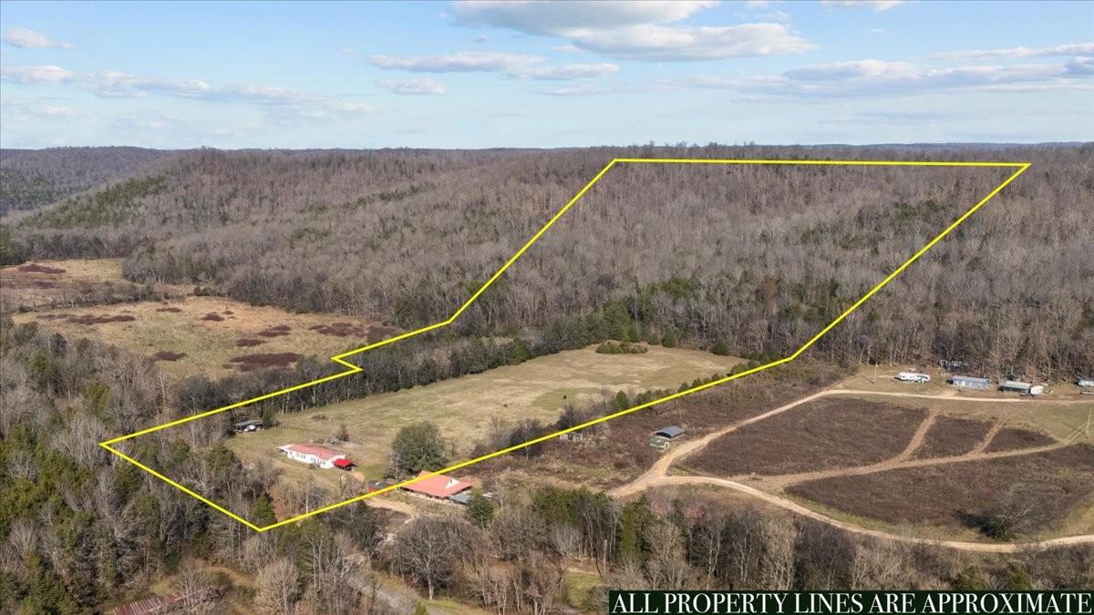 25 Cardinal Road Linden, TN 37096 - Photo 54 of 84 a view of a tennis court