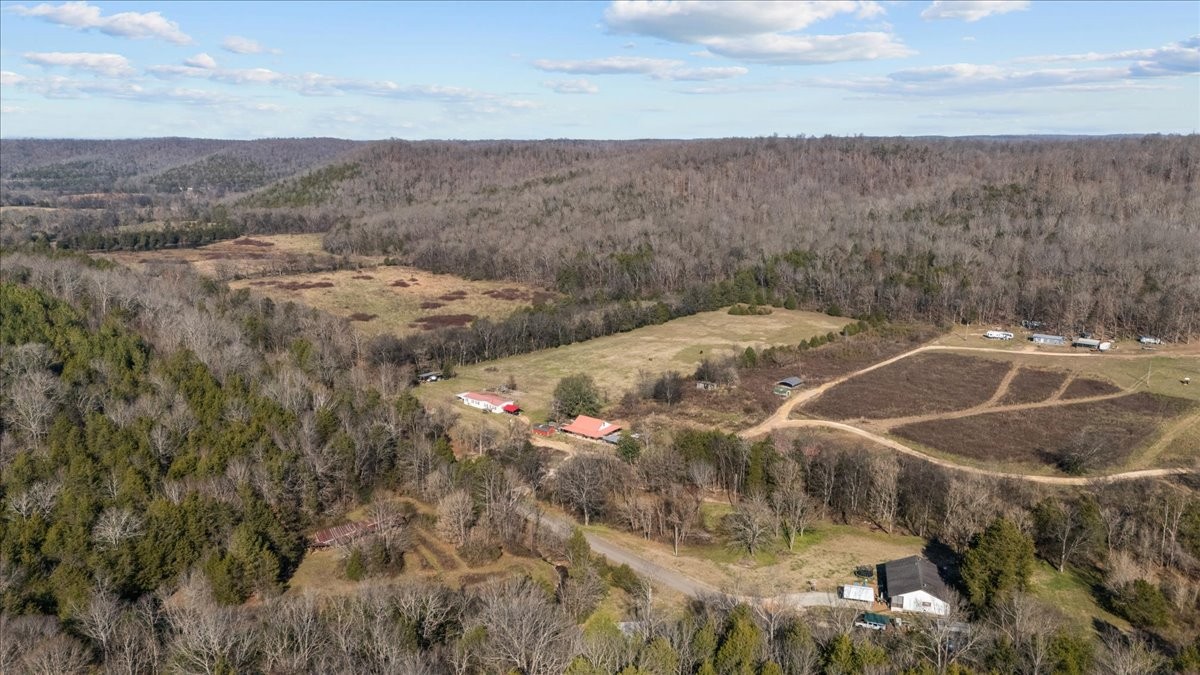 25 Cardinal Road Linden, TN 37096 - Photo 55 of 84 a view of a dry yard with green space