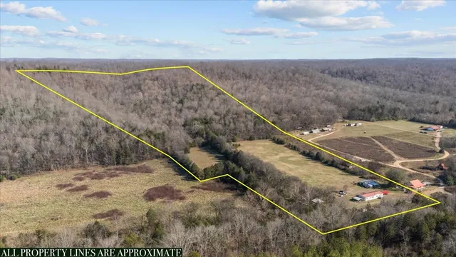 $520,000 | 25 Cardinal Road, Linden, TN 37096