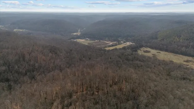 $520,000 | 25 Cardinal Road, Linden, TN 37096