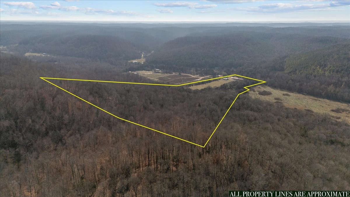 25 Cardinal Road Linden, TN 37096 - Photo 60 of 84