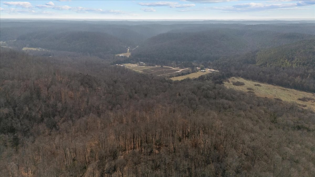 25 Cardinal Road Linden, TN 37096 - Photo 60 of 92