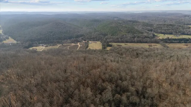 $520,000 | 25 Cardinal Road, Linden, TN 37096