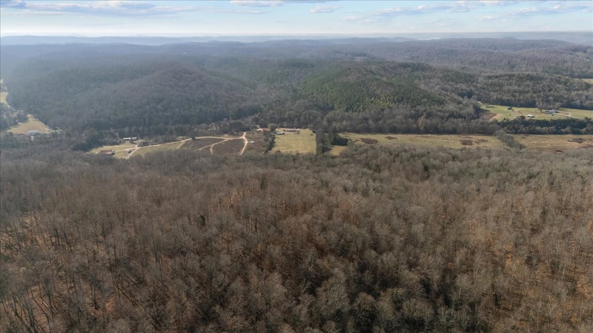 25 Cardinal Road Linden, TN 37096 - Photo 61 of 84 a view of a dry yard with trees