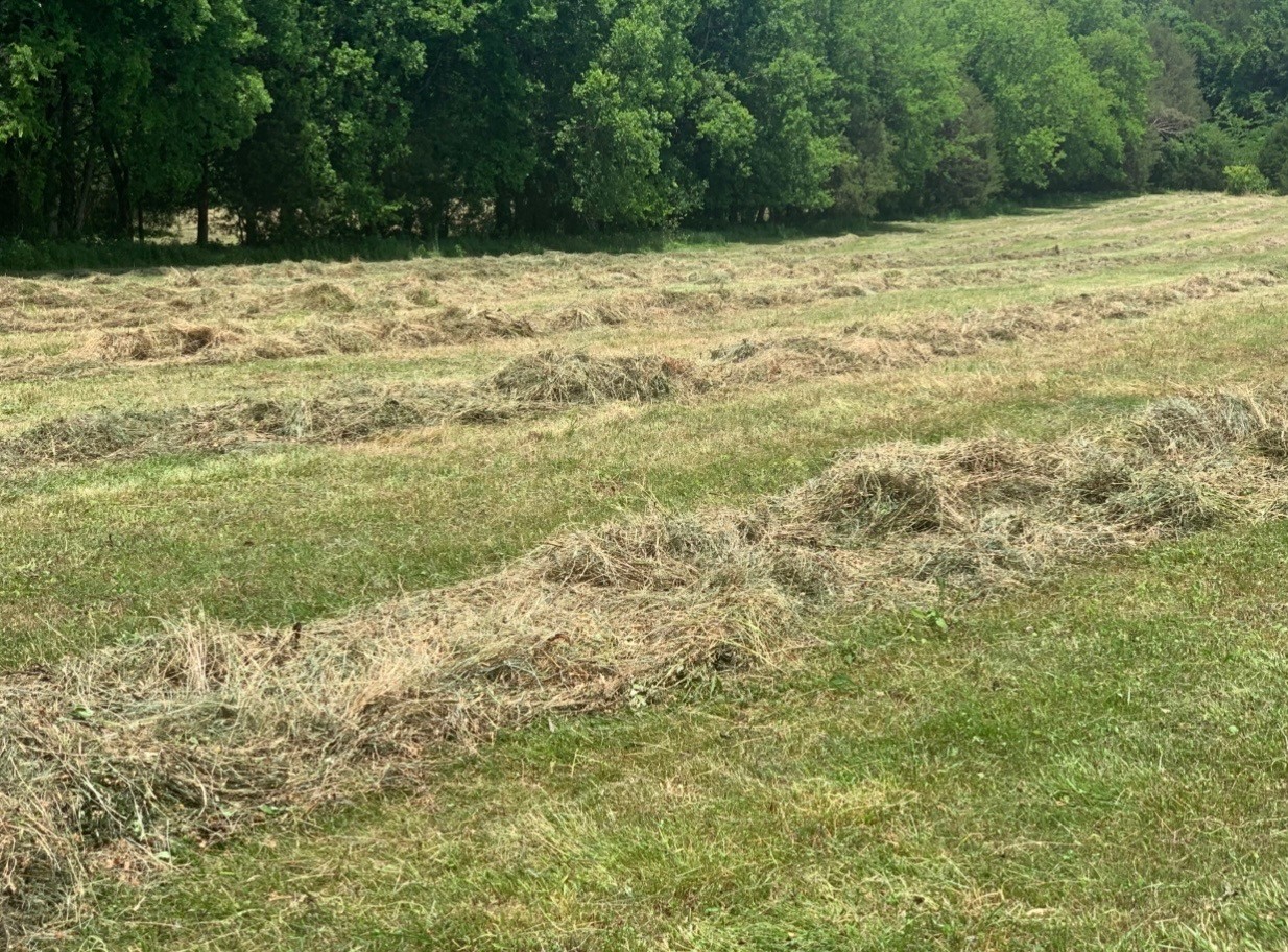 25 Cardinal Road Linden, TN 37096 - Photo 75 of 92