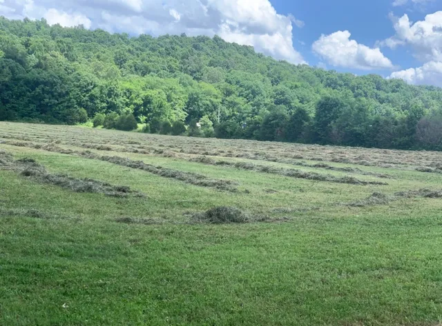 $520,000 | 25 Cardinal Road, Linden, TN 37096