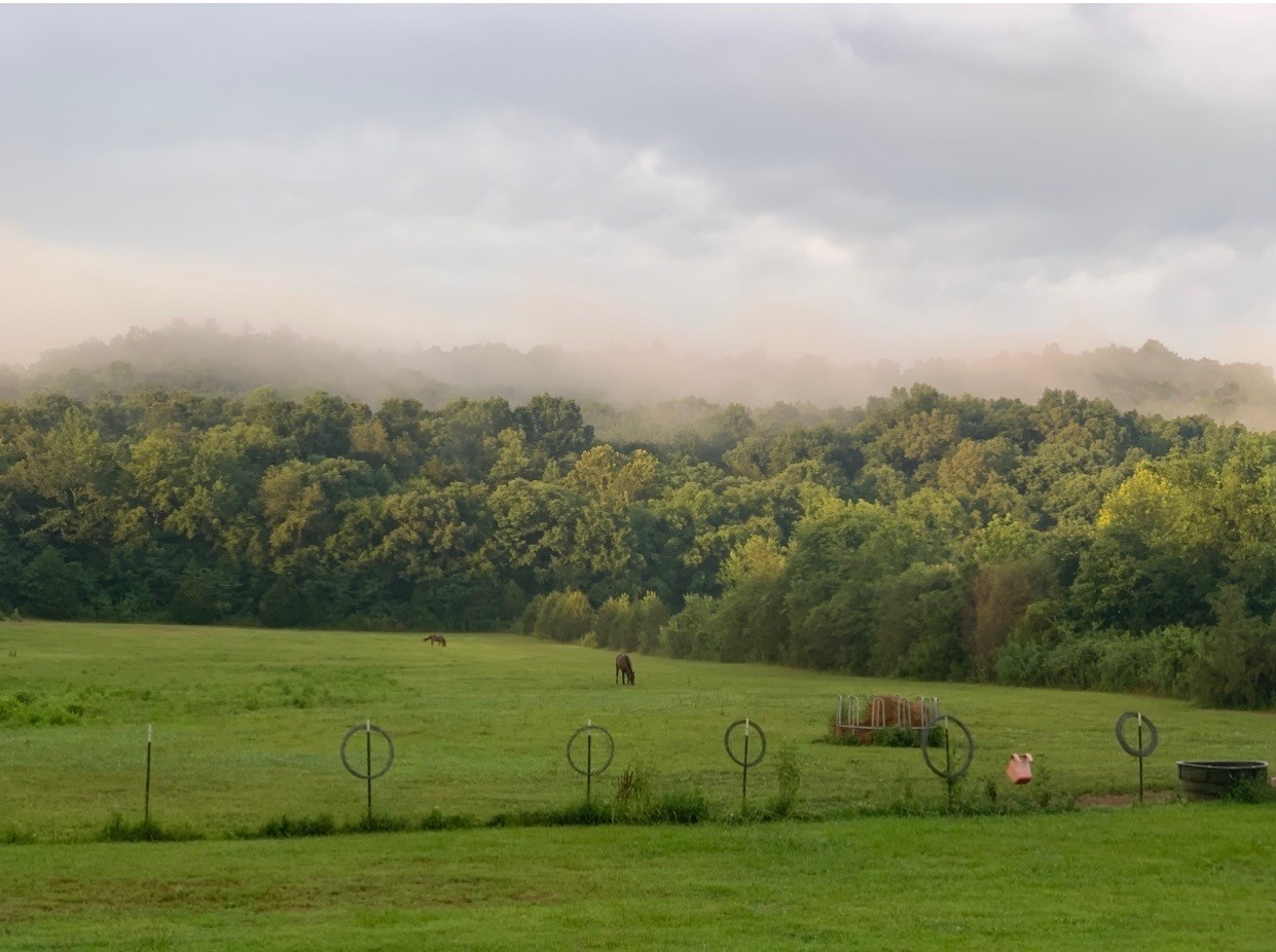25 Cardinal Road Linden, TN 37096 - Photo 77 of 84 an aerial view of a houses with outdoor space