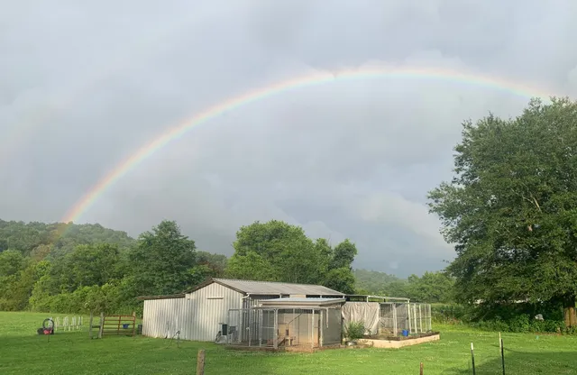 $520,000 | 25 Cardinal Road, Linden, TN 37096