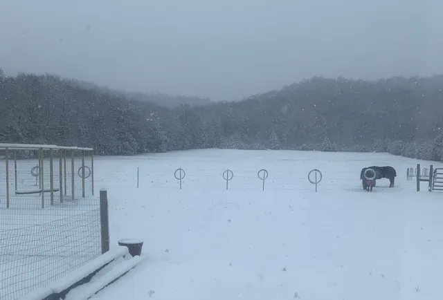 $520,000 | 25 Cardinal Road, Linden, TN 37096