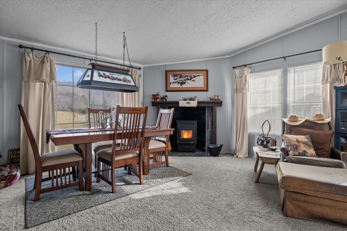 25 Cardinal Road Linden, TN 37096 - Photo 8 of 92