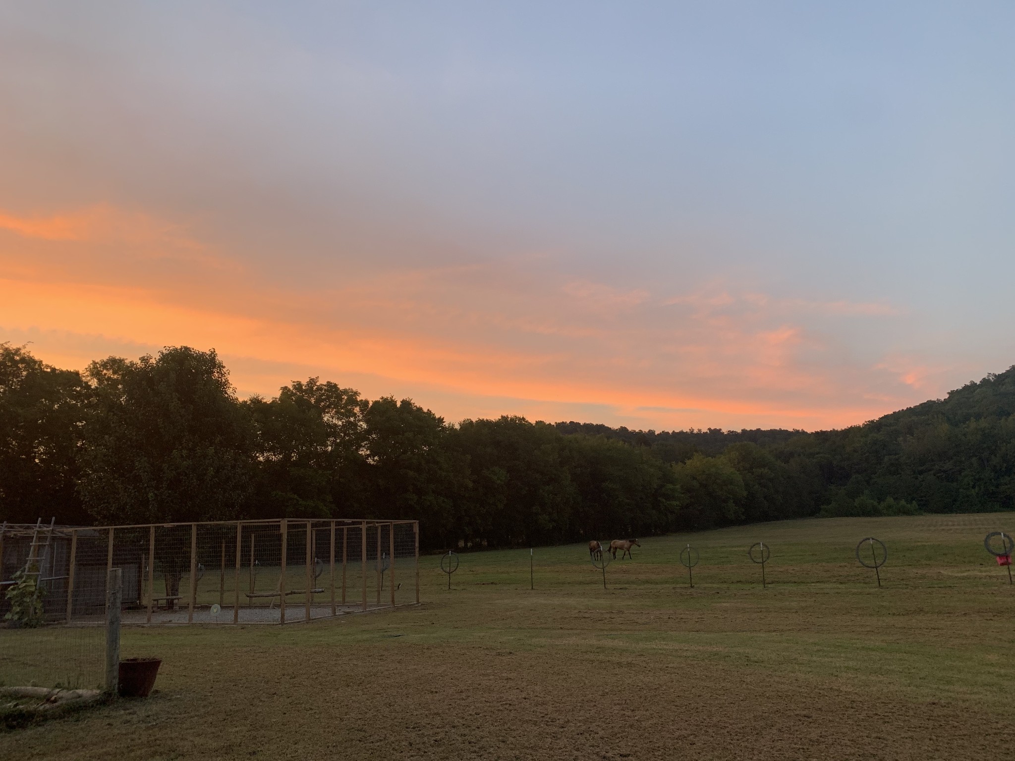 25 Cardinal Road Linden, TN 37096 - Photo 81 of 84