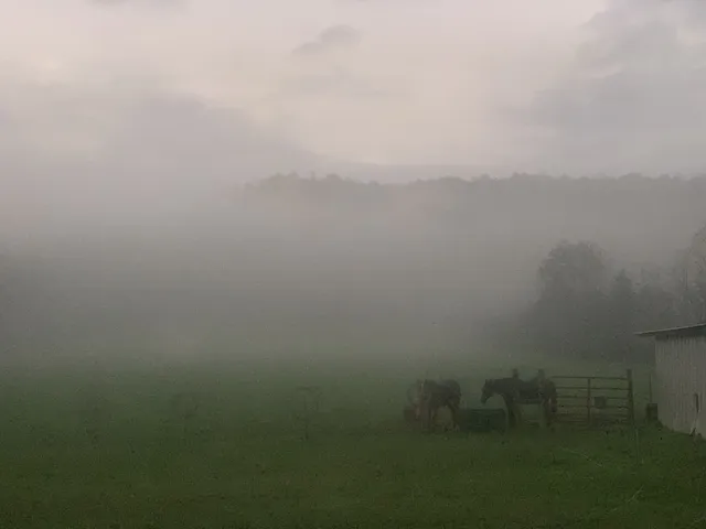 $520,000 | 25 Cardinal Road, Linden, TN 37096