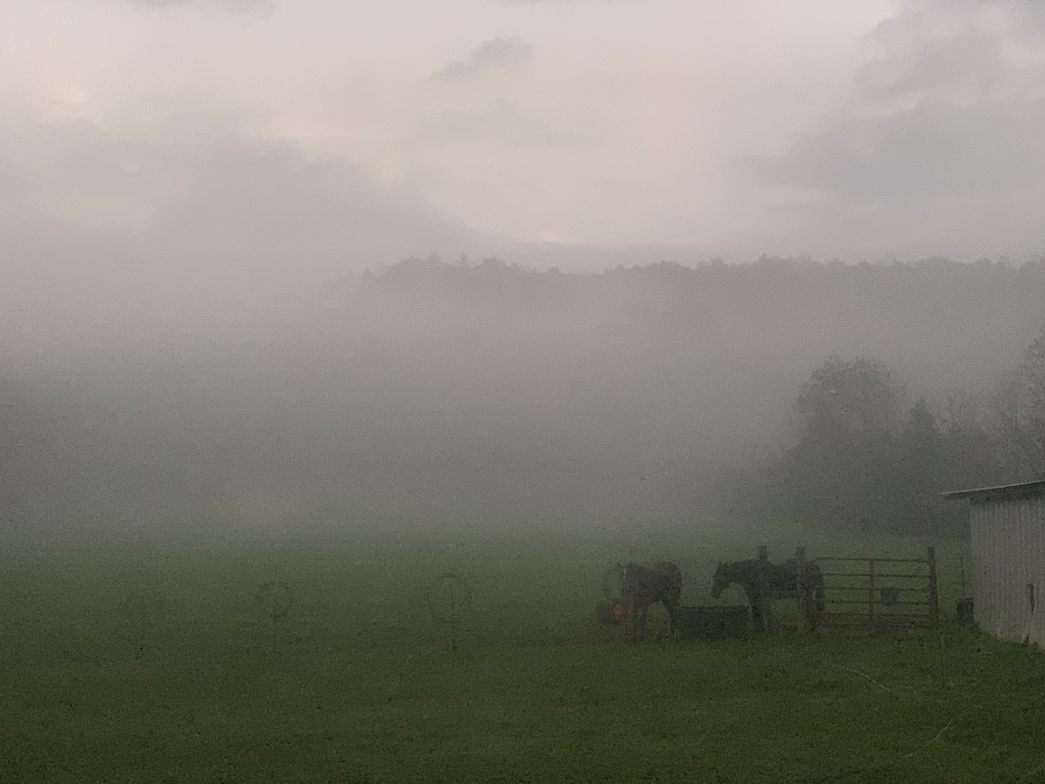 25 Cardinal Road Linden, TN 37096 - Photo 83 of 84