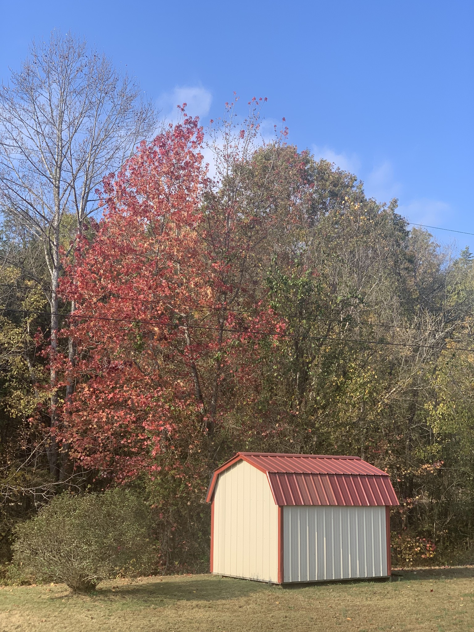 25 Cardinal Road Linden, TN 37096 - Photo 84 of 84