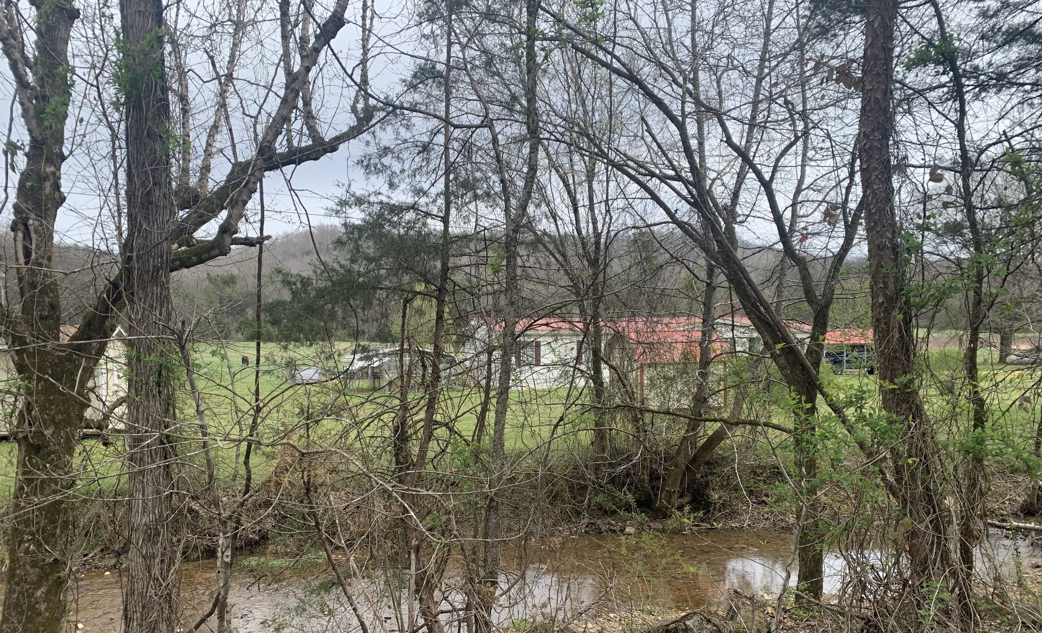 25 Cardinal Road Linden, TN 37096 - Photo 86 of 92