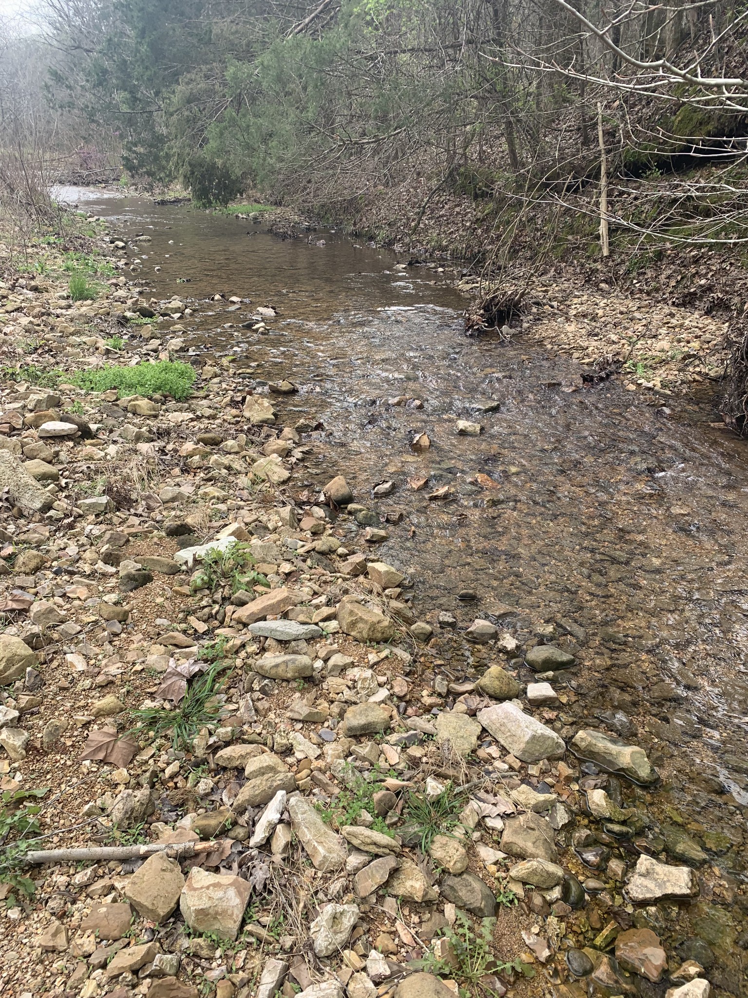 25 Cardinal Road Linden, TN 37096 - Photo 87 of 92