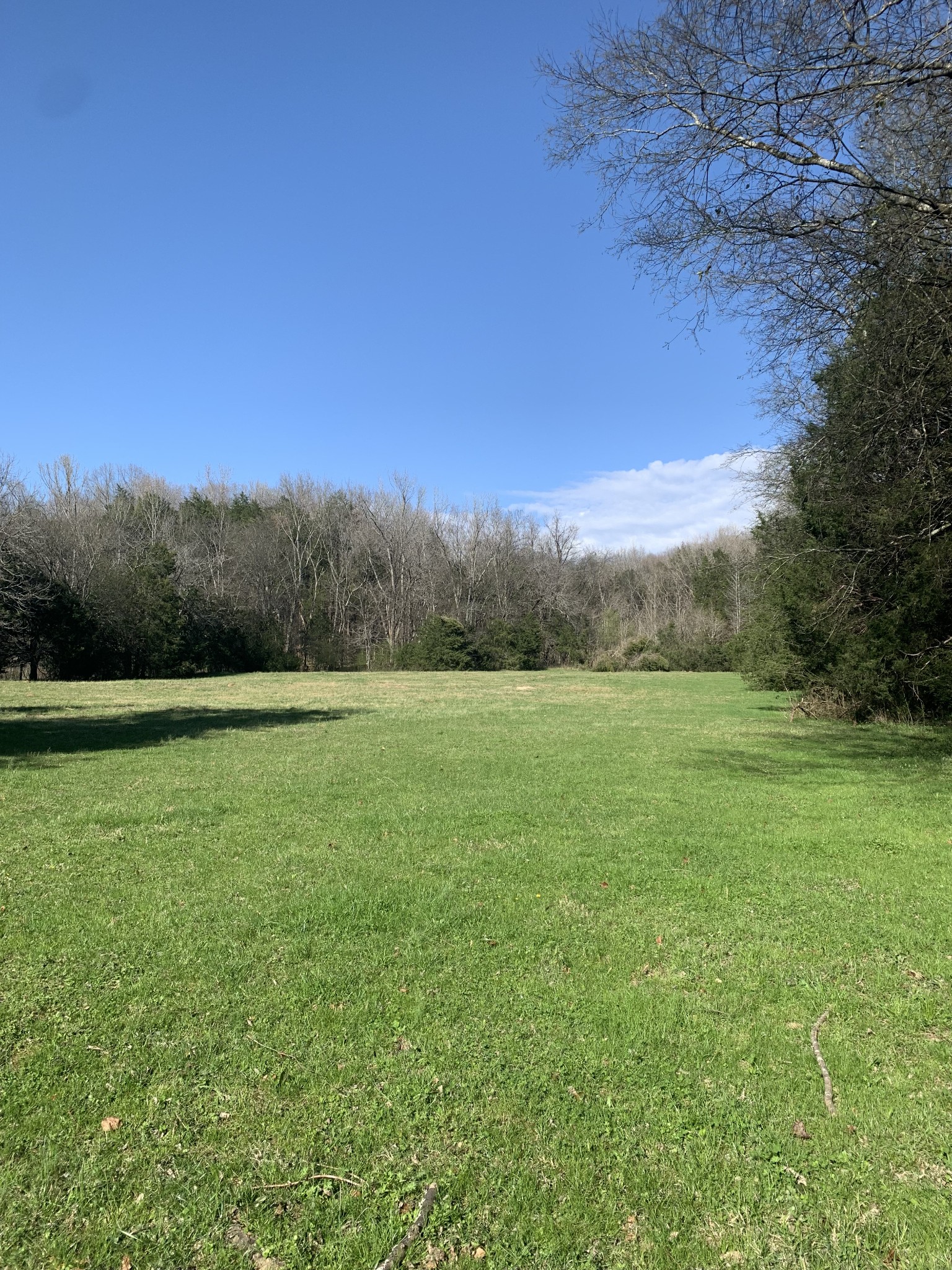 25 Cardinal Road Linden, TN 37096 - Photo 91 of 92