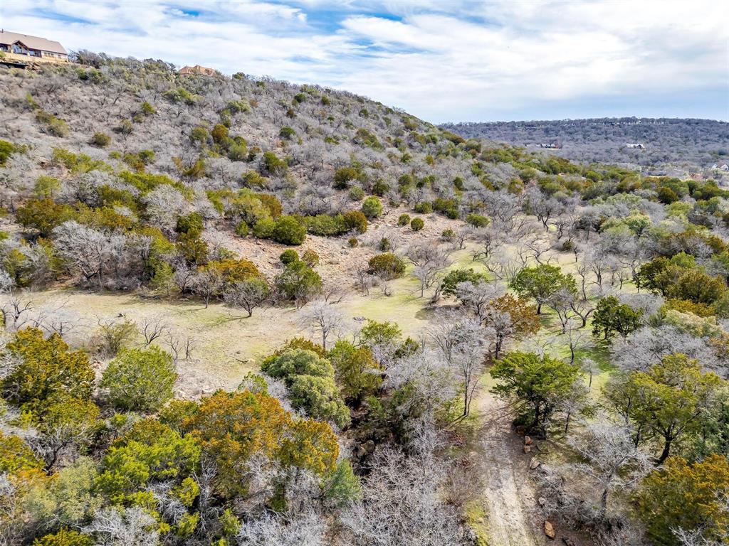 2 A Art's Way Gordon, TX 76453 - Photo 15 of 20 a view of a field with trees in background
