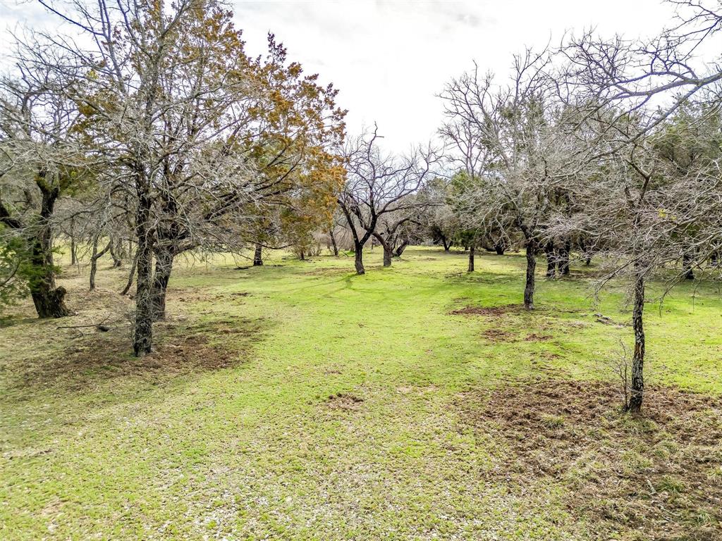 2 A Art's Way Gordon, TX 76453 - Photo 18 of 20 a view of a trees with a yard
