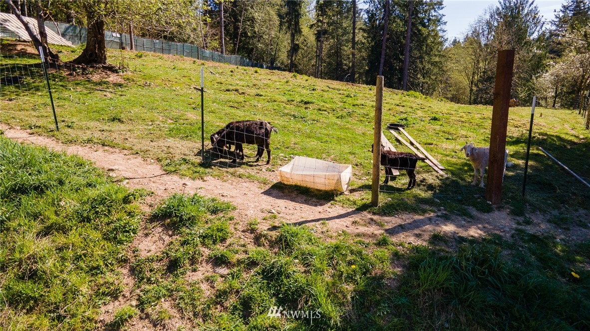 216 South Hawkins Road Winlock, WA 98596 - Photo 19 of 24