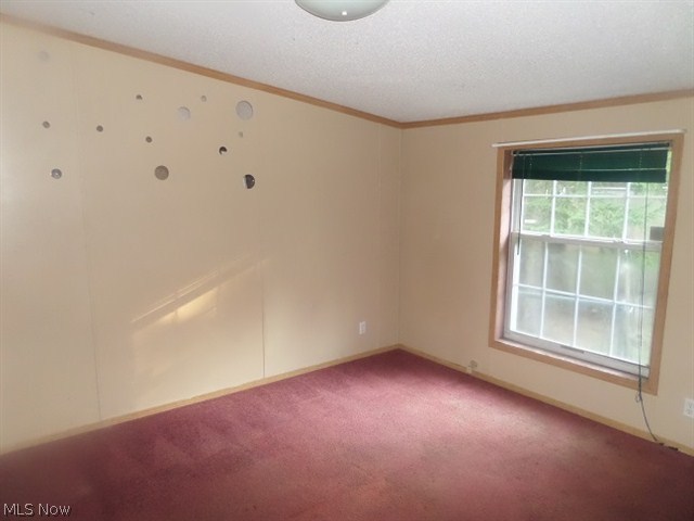 6678 Streeter Road Mantua, OH 44255 - Photo 3 of 8 Gallery Image 3