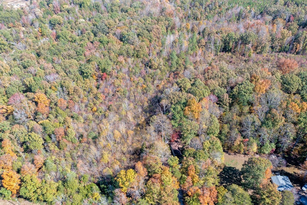 0 Asal Road Farmville, VA 23901 - Photo 46 of 48 Gallery Image 46