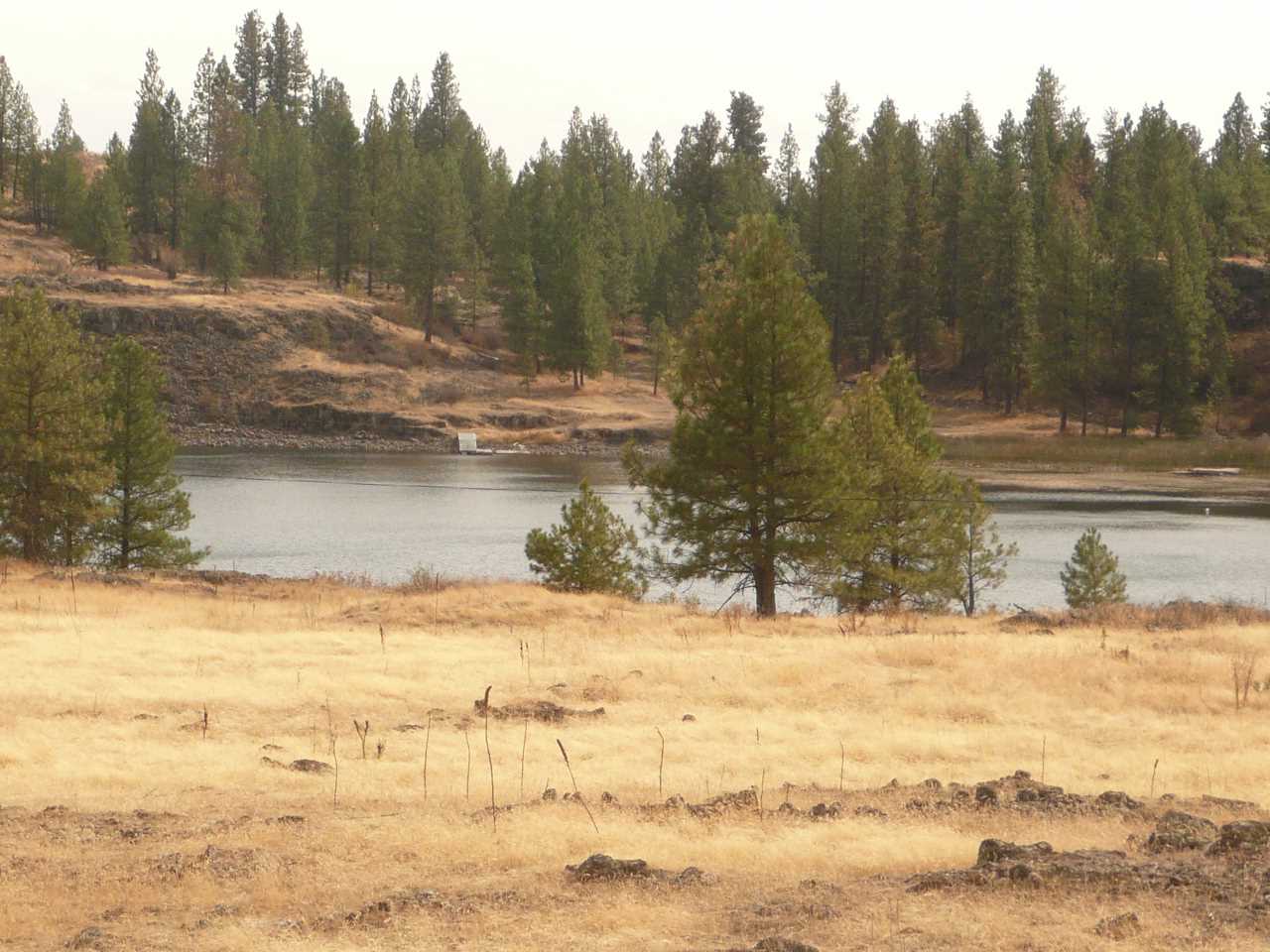 34000 South Badger Lake Road Cheney, WA 99004 - Photo 1 of 13