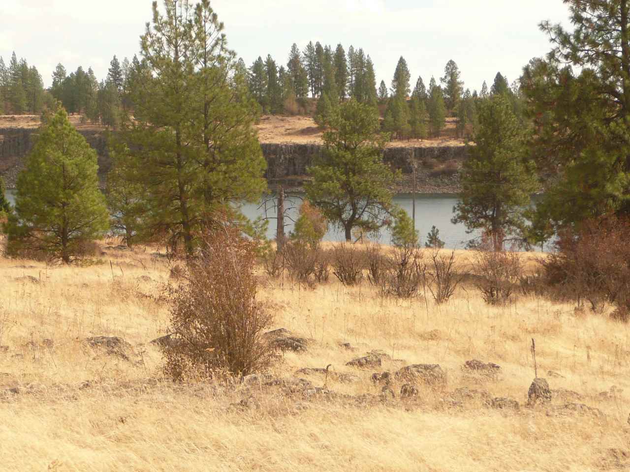 34000 South Badger Lake Road Cheney, WA 99004 - Photo 2 of 13